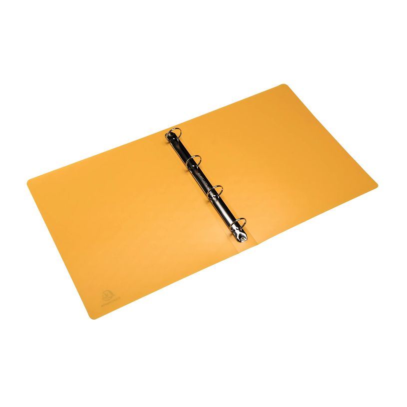 [51930E] EXACOMPTA FARDES recycle 4cm