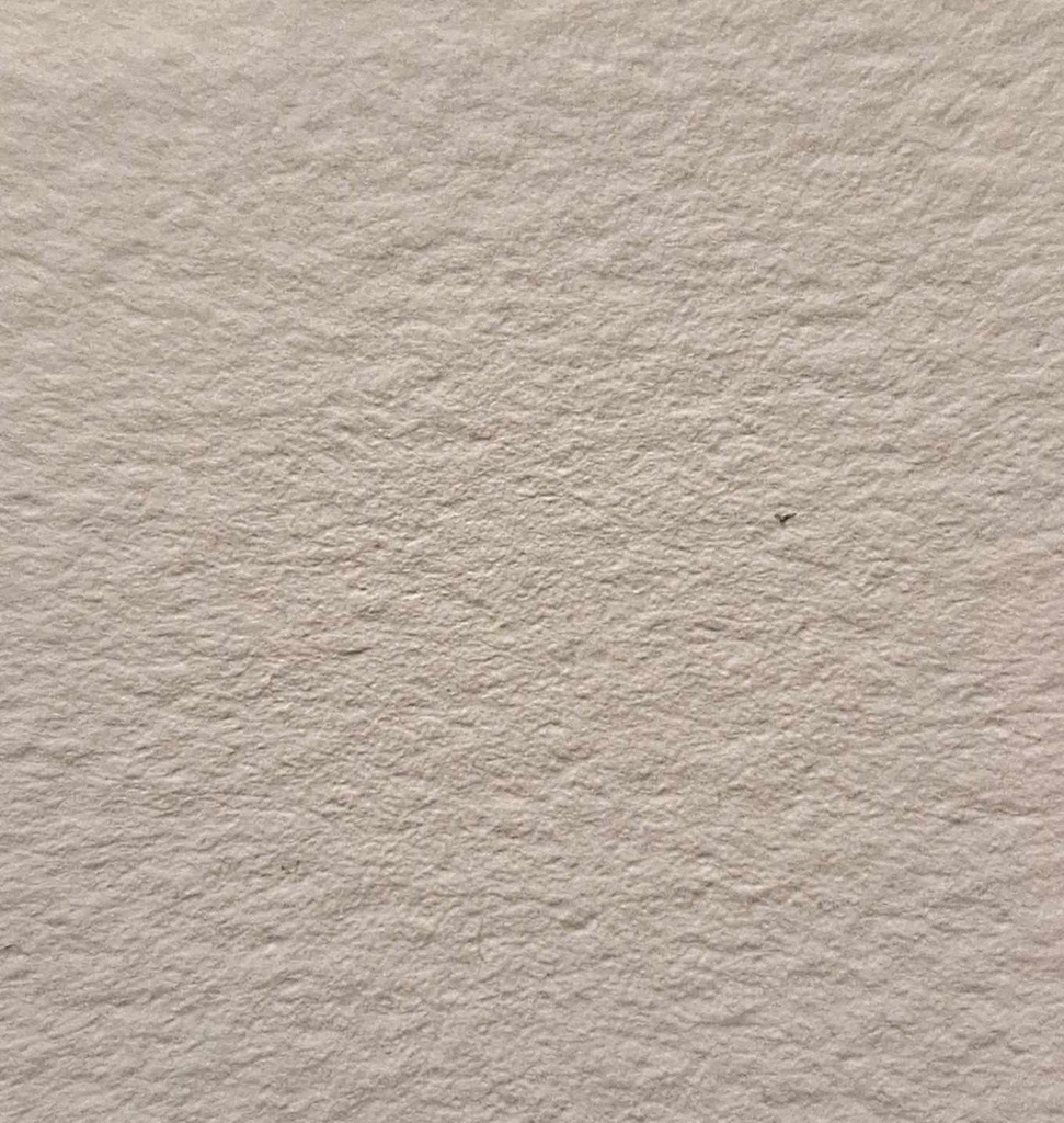 CLAIRFONTAINE GRAIN SATINEE FONTAINE 300GR A4