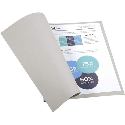 [420009] exacompta chemises dossier gris