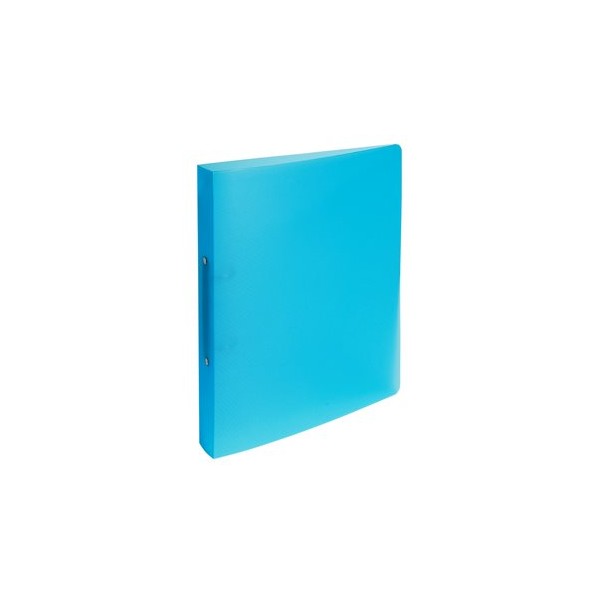CLASSEUR A4 25 EXA 