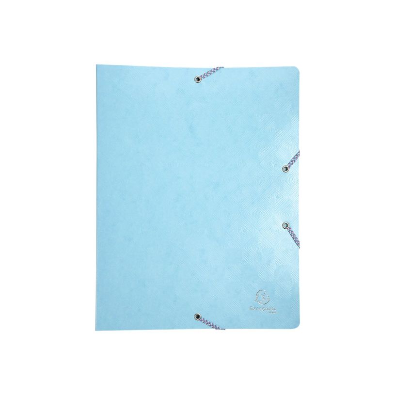 CLASSEUR A4 25 carton EXA