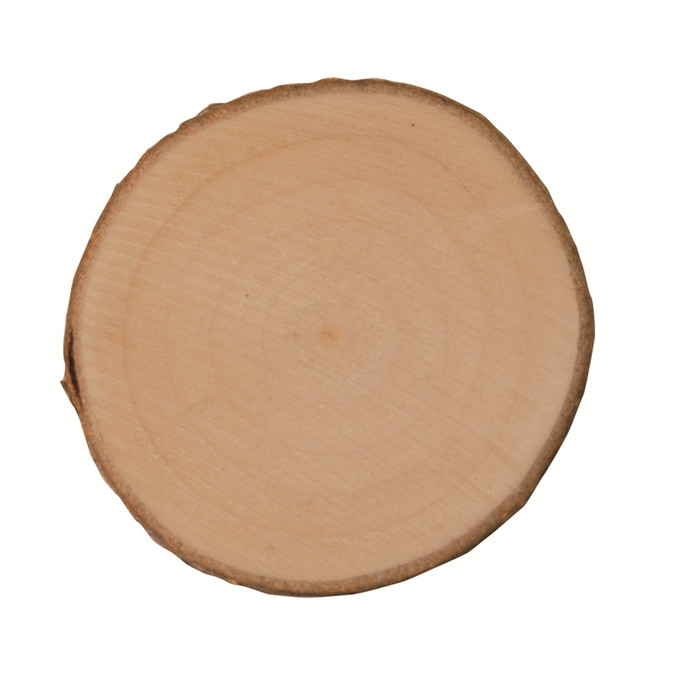 Artemio rondelles en bois