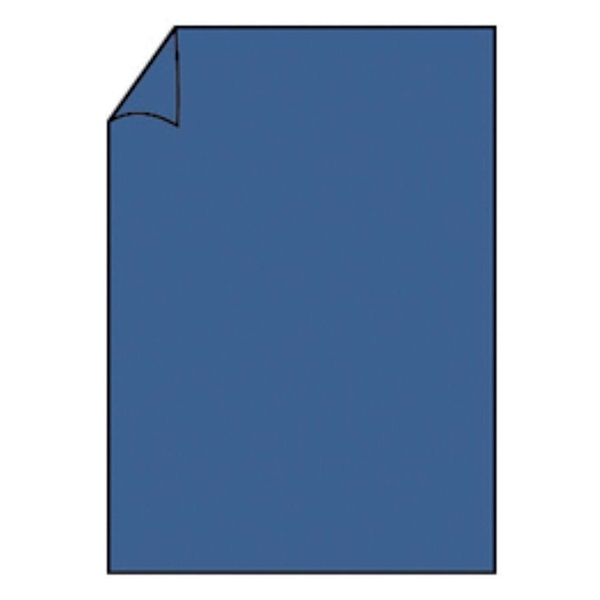 ROSSLER PAPIER A4 100GR