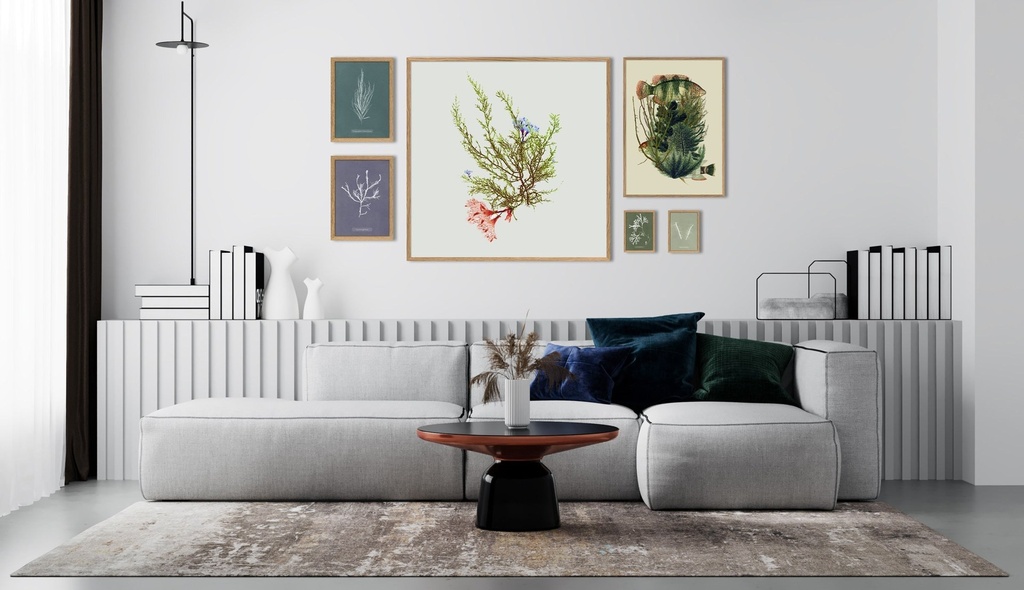 canson farde a dessin 61x81 cm