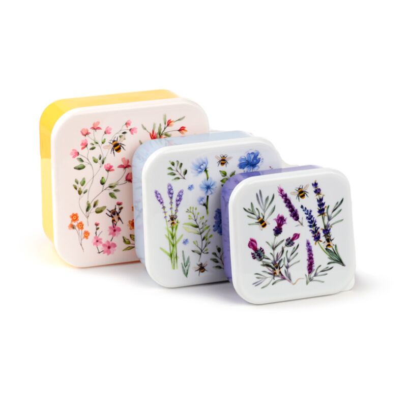 Nectar lunch box
