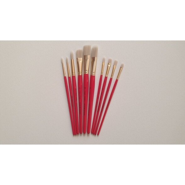 SET 10 PINCEAUX SIMPLY HUILE