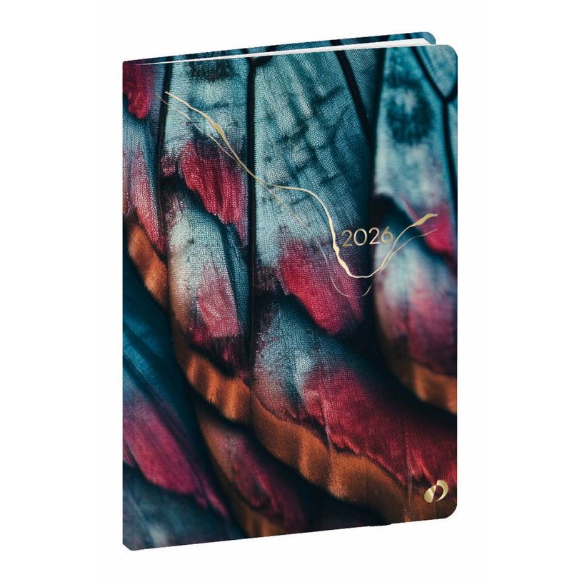 AGENDA QUO VADIS PAPILLON