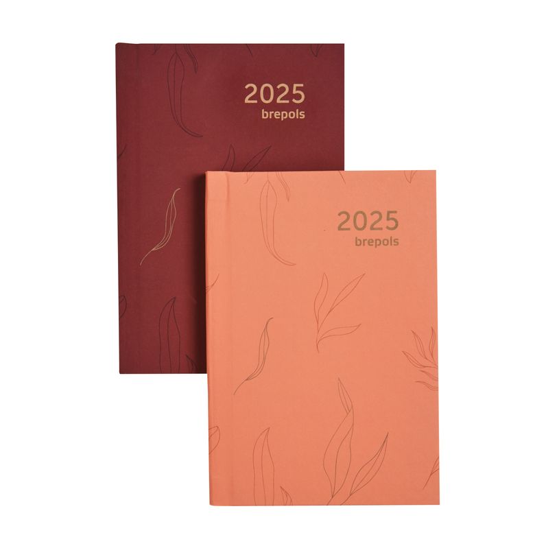 AGENDA DELTA BREPOLS 2026