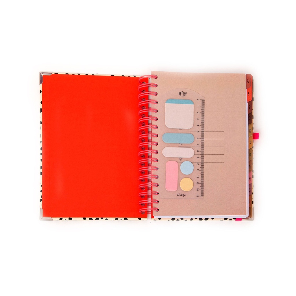Mr WONDERFULL AGENDA ICI ET MAINTENANT