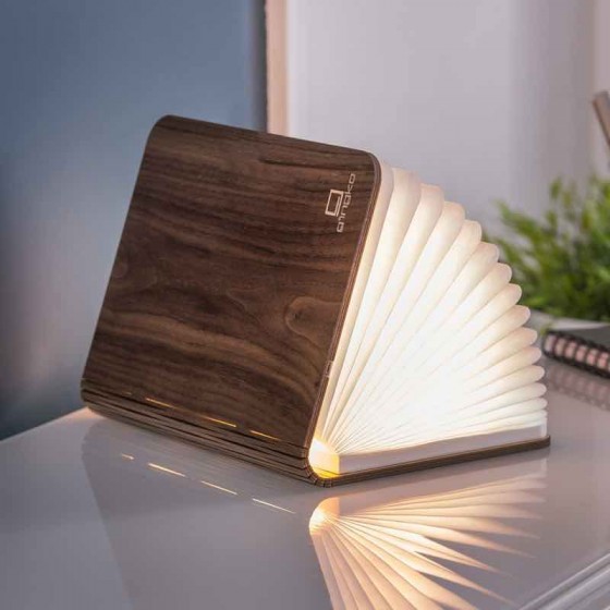 SMART BOOK LIGHT