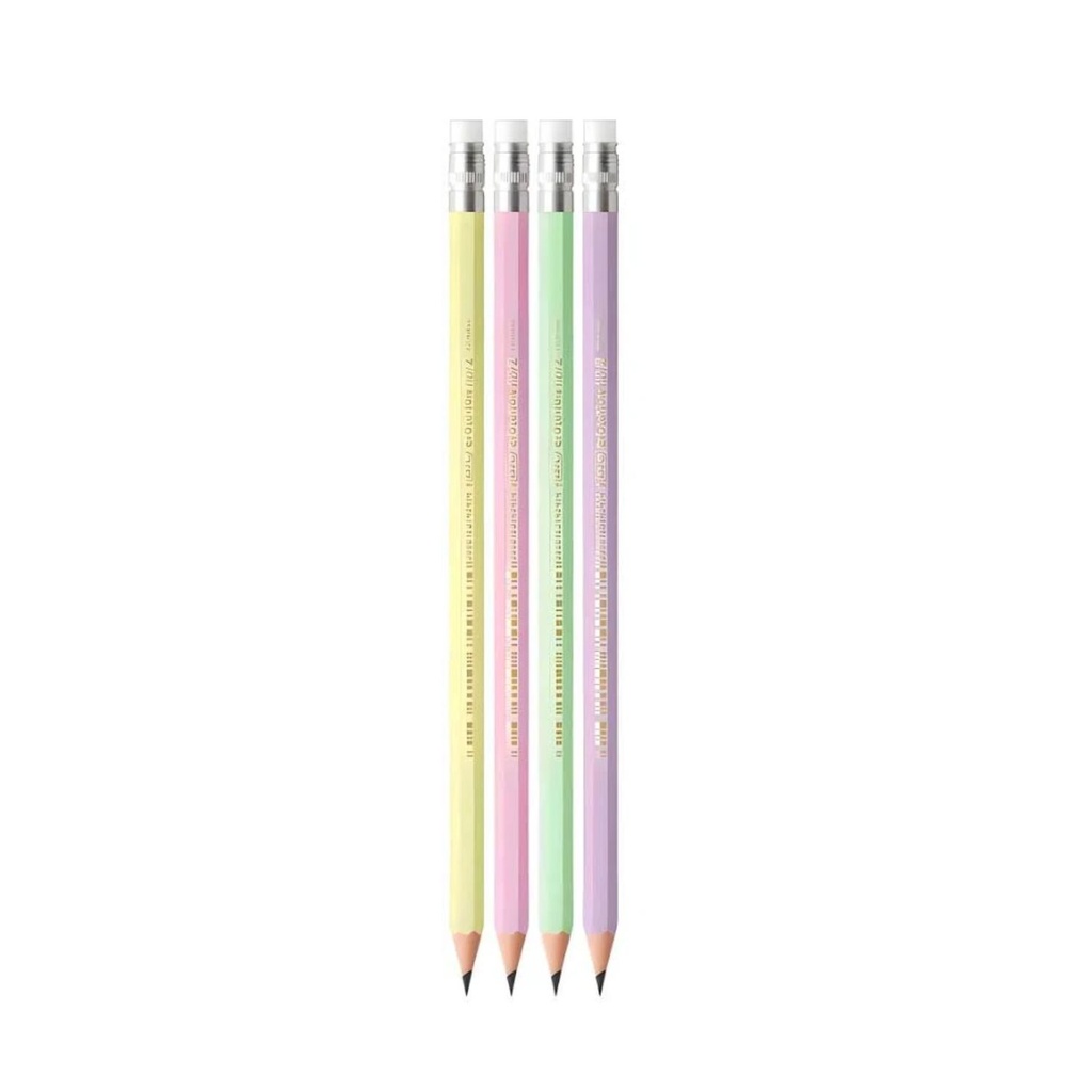 CRAYON BIC PASTEL