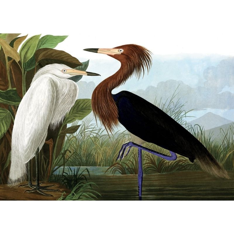 KIUB PUZZLE 1000 pieces heron